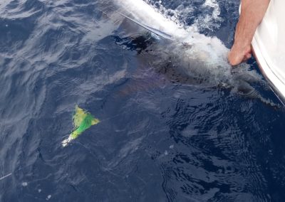 Captain Jeff Hackstaff Fishing 5