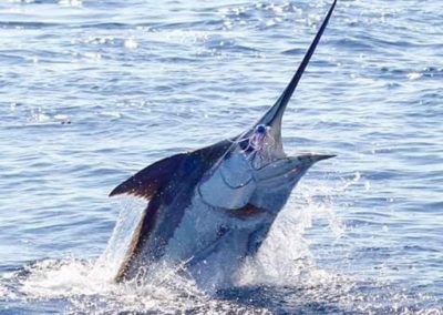 Captain Jeff Hackstaff Fishing 46