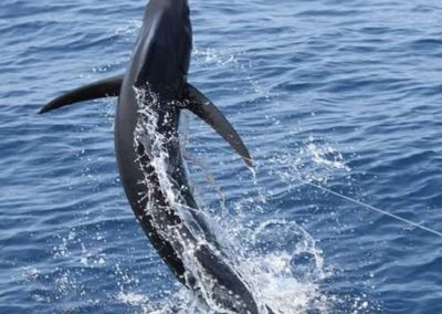 Captain Jeff Hackstaff Fishing 45