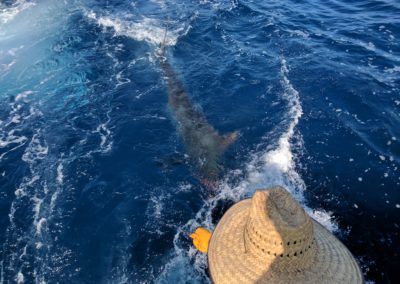 Captain Jeff Hackstaff Fishing 18